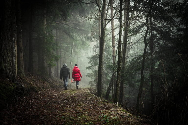 The Physical and Mental Benefits of Forest Walking